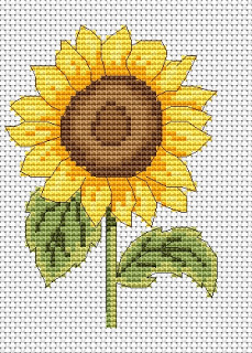 \"sunflower
